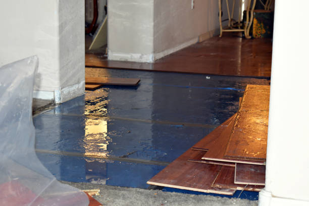 Professional Water Damage Restoration technician working in Randle, WA